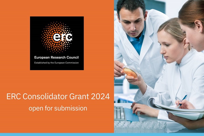 Otwarty konkurs ERC Consolidator Grant 2024 Krajowy Punkt Kontaktowy